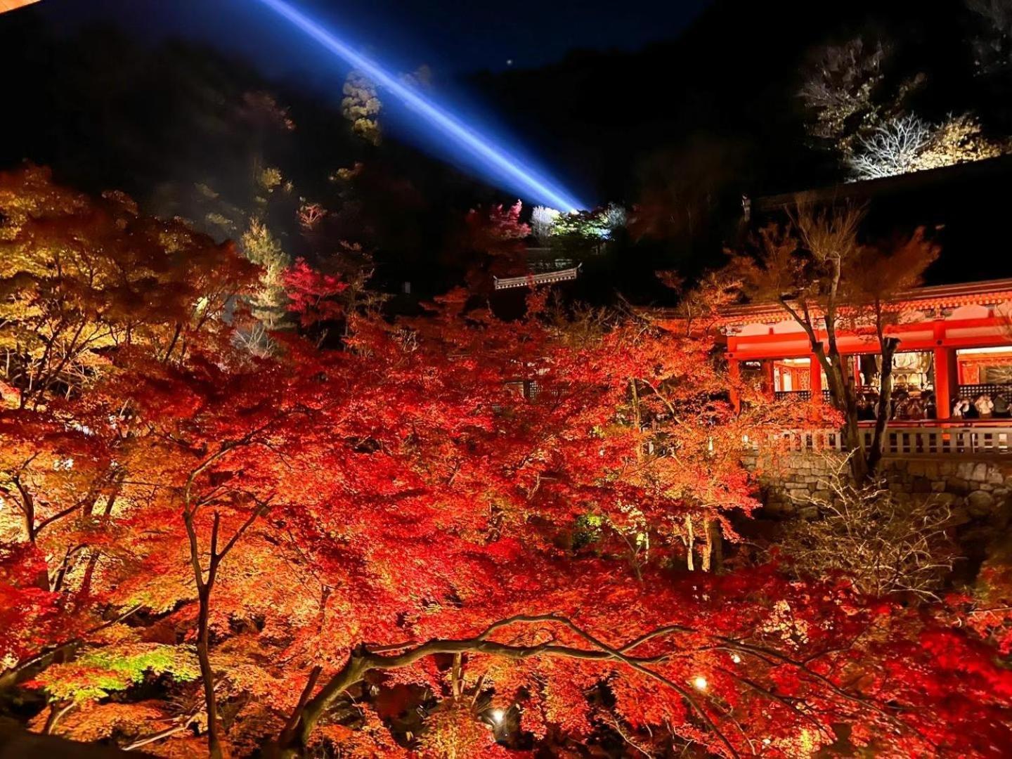 Rinn Kiyomizu Gion Kioto Zewnętrze zdjęcie